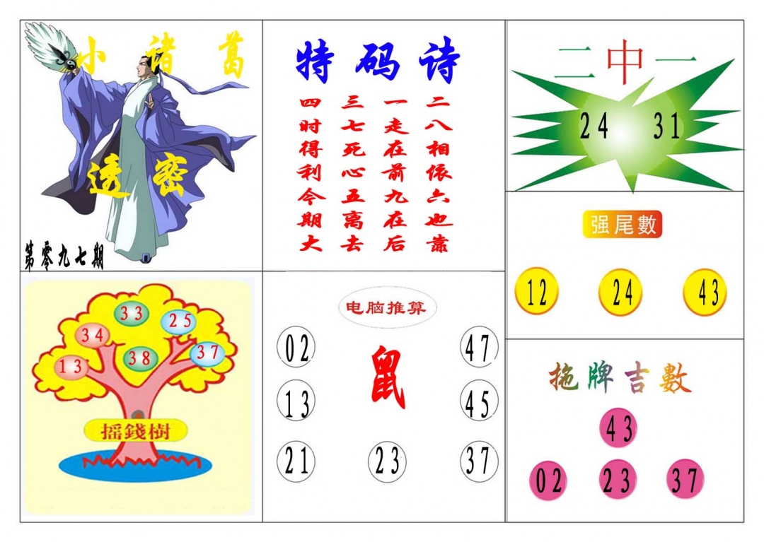 097期小诸葛[图]